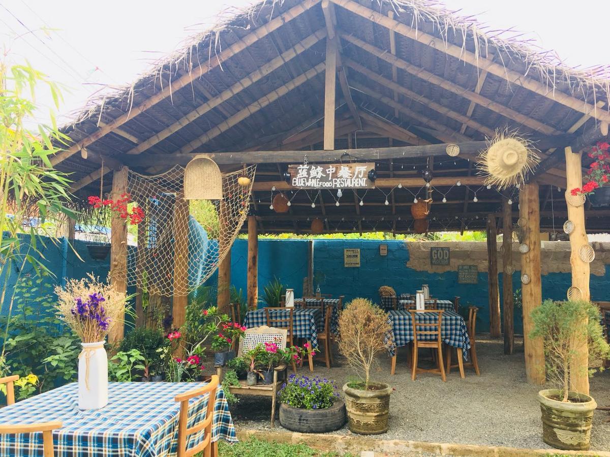 Blue Whale Holiday Hotel มิริสซา ภายนอก รูปภาพ