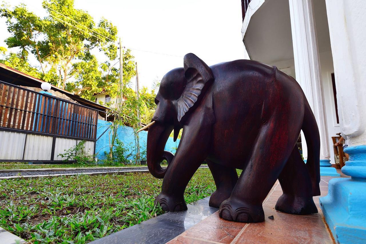 Blue Whale Holiday Hotel มิริสซา ภายนอก รูปภาพ