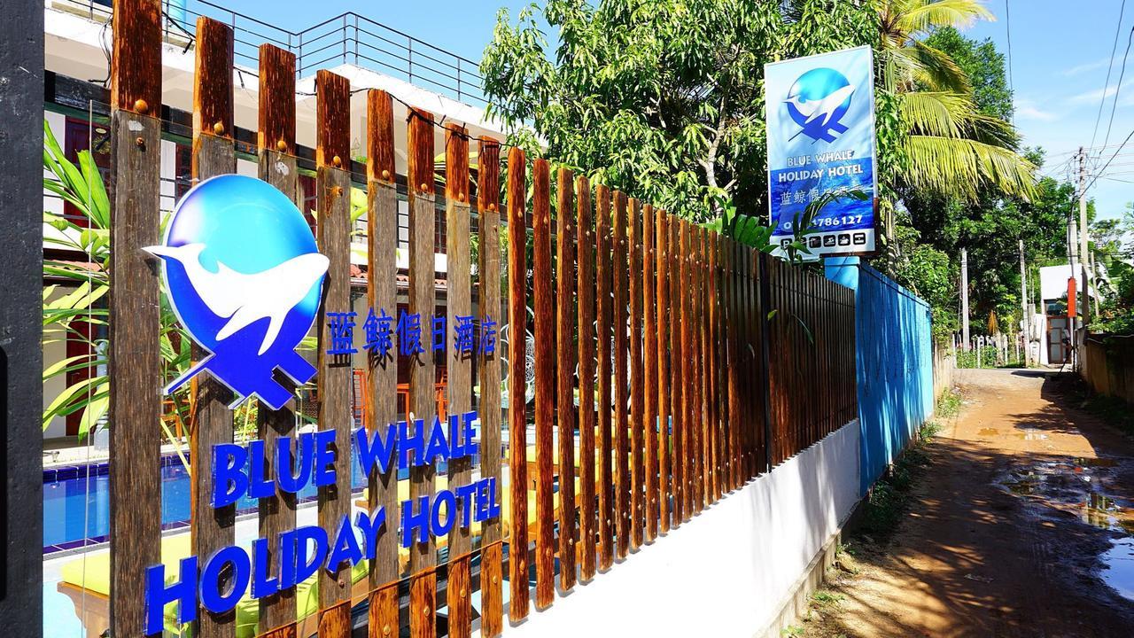 Blue Whale Holiday Hotel มิริสซา ภายนอก รูปภาพ