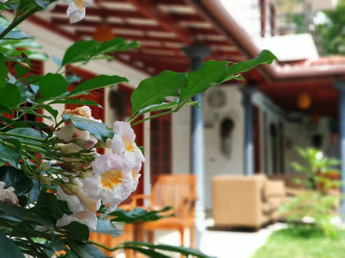 Blue Whale Holiday Hotel มิริสซา ภายนอก รูปภาพ